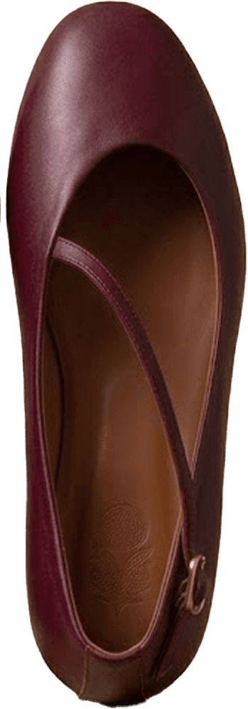 Burgundy pump